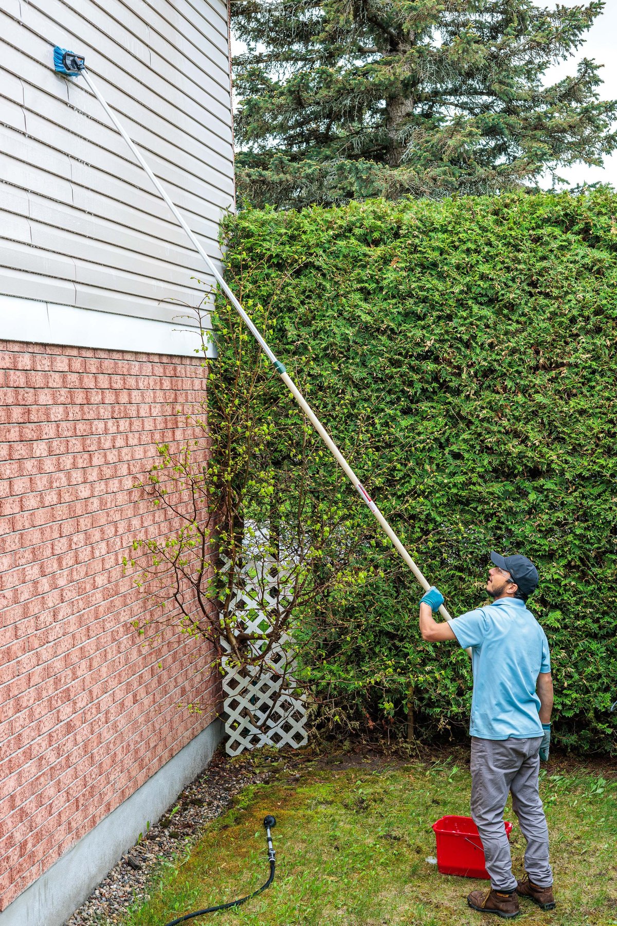 Man using a long pole to trim tall green hedge between brick and white siding house wall